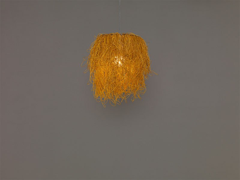 a-emotional light caos ca04a