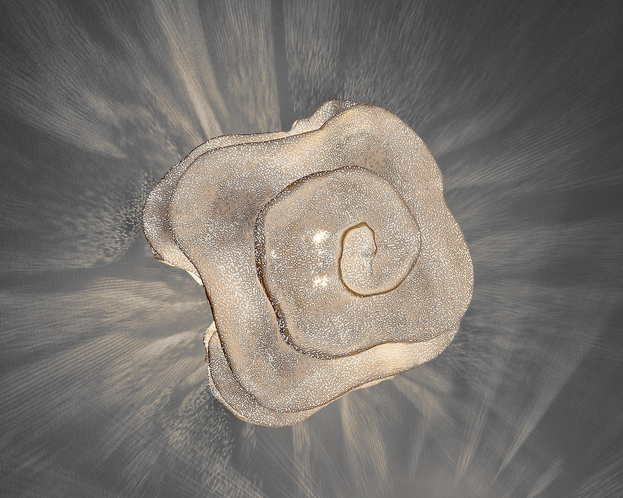 a-emotional light nevo ne06