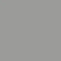 D 100.60.05 Grigio lucido – opaco