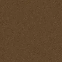3100 Golden bronze