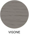 VISONE