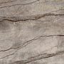 Silver root grey satin