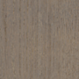 ET31