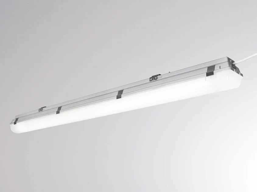 Molto Luce 3One Basic