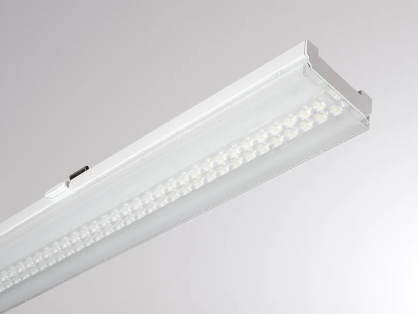 Molto Luce Sani Sanierungseinsatz