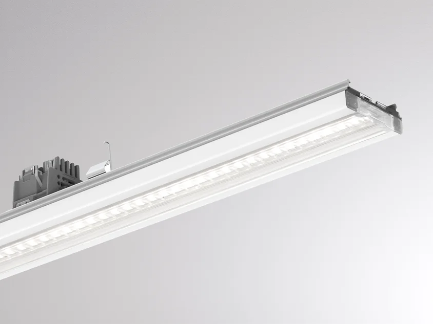 Molto Luce Trail Light Insert WB