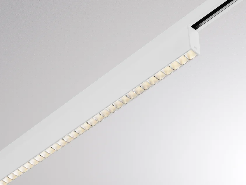 Molto Luce V-Line Fokus