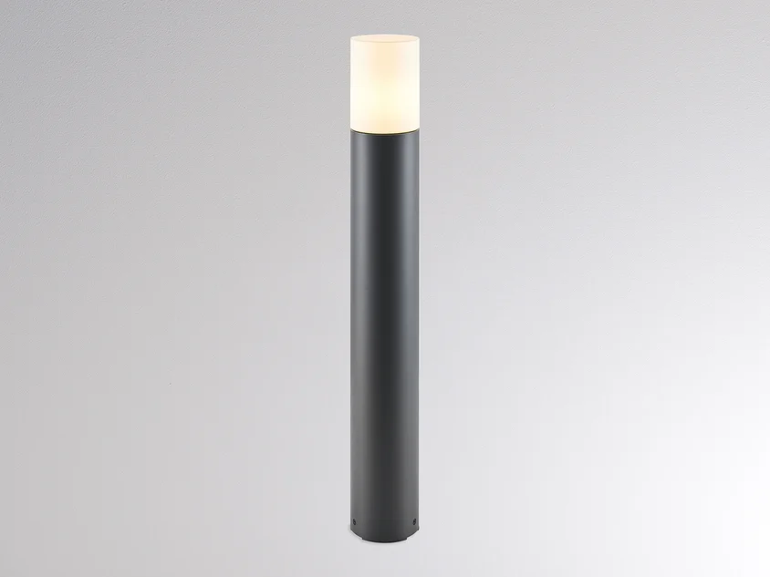 Molto Luce William F