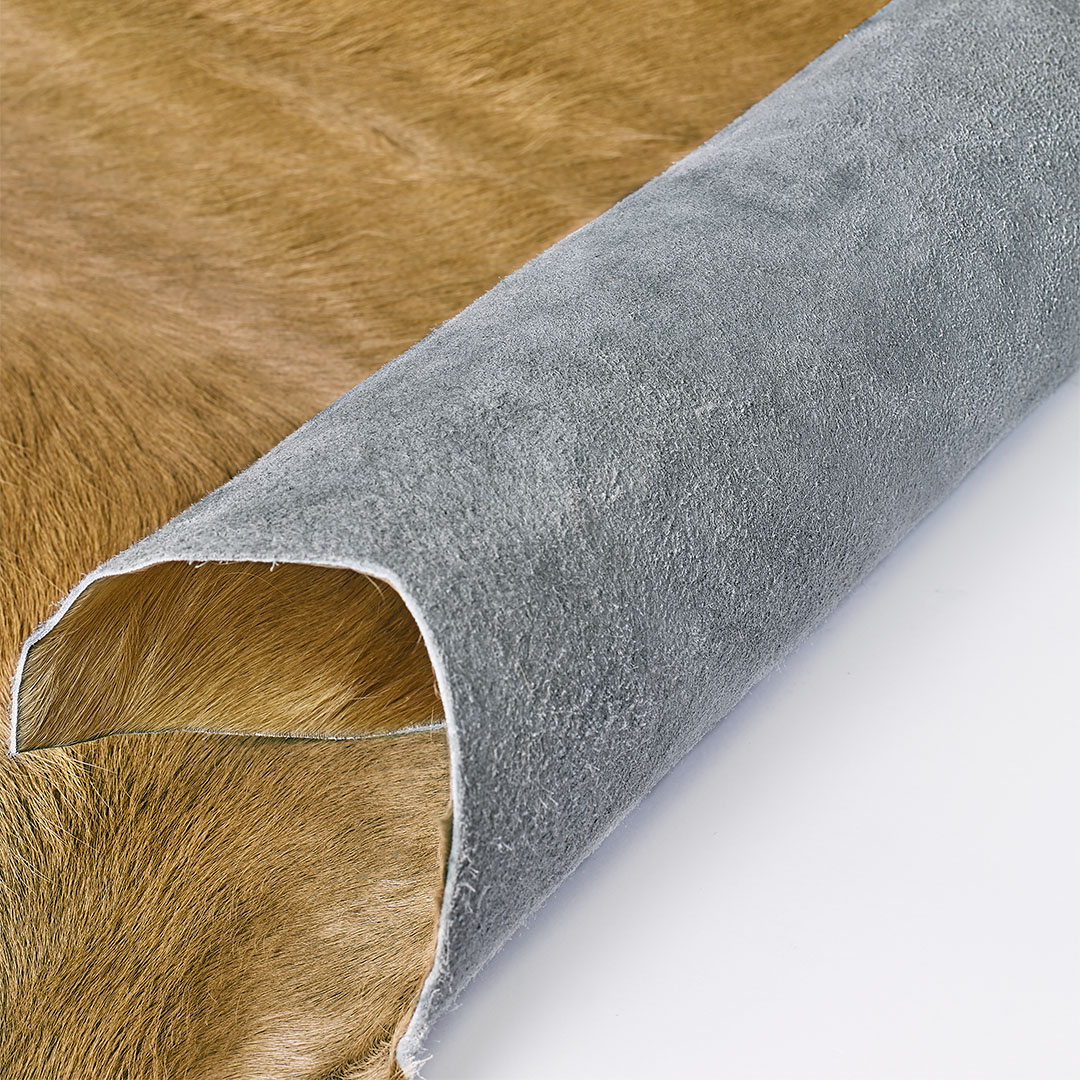Sitap Timeless Sophistication – Bild 2